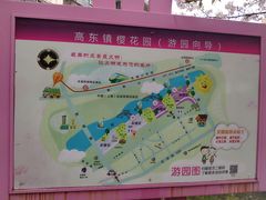 -高东镇樱花园