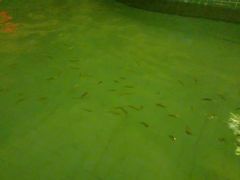 -宁波杭州湾海底温泉