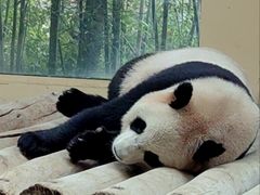 -杭州野生动物世界