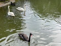 -海南热带野生动植物园