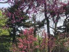 -八大关景区