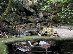 -江西阳明山国家森林公园
