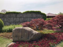 -嘉定紫藤园