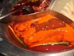 -辣伍鲜毛肚老火锅(元一店)