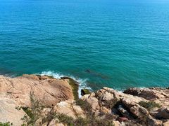 -广东惠东海龟国家级自然保护区