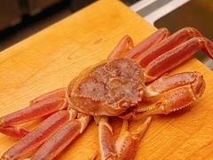 -鳥喜Toriki怀石烧鸟料理