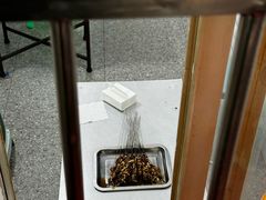 -宋文成烤肉(白沙巷店)