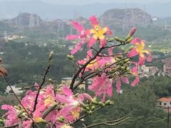 -马头山