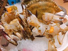 梭子蟹-尚海豆捞(乐虹坊店)