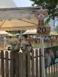 -萌宠亲子动物乐园(槐房万达店)