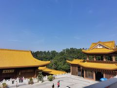 -深圳仙湖植物园