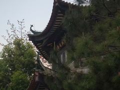 -住星酒店(广州北京路步行街店)