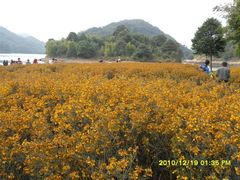 -广州市石门国家森林公园