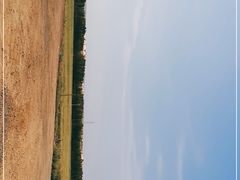 -希拉穆仁草原