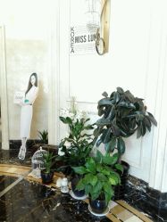 点击看大图 -韩国艺匠ARTIZ STUDIO(博览中心店)