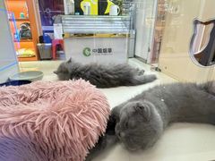 -万达广场(南宁青秀店)