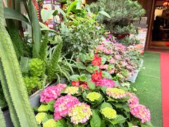 -山水茶艺馆·点心粤菜·30年老字号