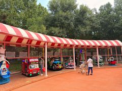 -大兴滨河森林公园