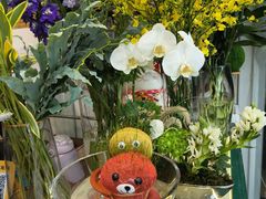 -FEI FEI FLOWER鲜花店·气球派对·宝宝宴布置(虹口德必运动Loft店)