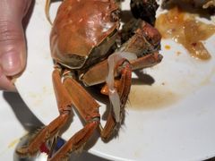 -领鲜活海鲜榴莲自助火锅(东门店)