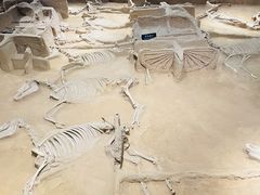 -洛阳周王城天子驾六博物馆