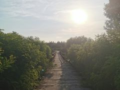 -西青郊野公园