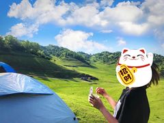 -关山草原