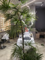 -眉毛先生MrBrow修眉染眉化妆