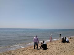 -海滨浴场