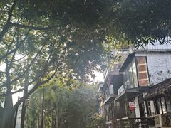 -南宁南湖公园