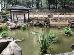 -古琴台