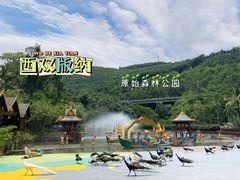 -西双版纳原始森林公园