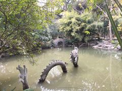 -汇龙潭