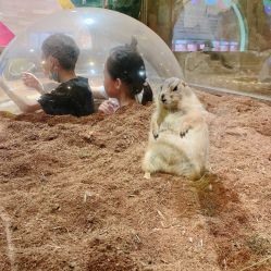 -宝燕乐园(闵行旗舰店)