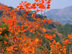 -香山公园