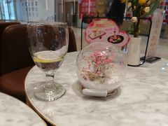 -哈根达斯(济南万象城店)