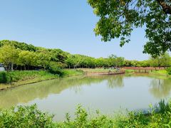 -嘉北郊野公园