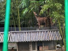 -鹿院坪生态旅游景区
