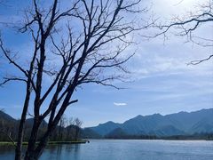 -大九湖