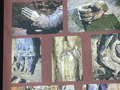 -秦始皇帝陵博物院(兵马俑)