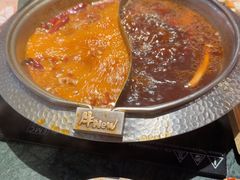 -牛New寿喜烧(金鹰世界店)