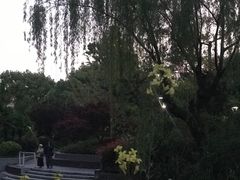 -兰溪青年公园