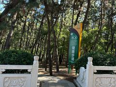 -林海公园