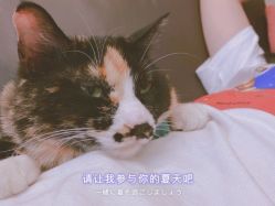 -简影造型·自选烫染接发salon