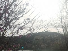 -昆山城市生态森林公园