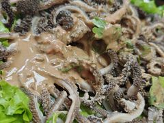 -协顺园回头馆(南顺城路店)