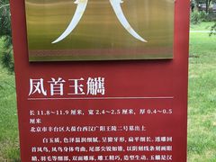 -北京大葆台遗址博物馆