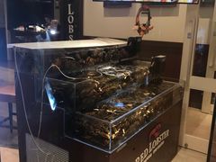 -RED LOBSTER(环球影城大阪店)