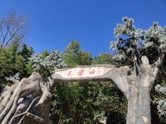 -王顺山国家森林公园