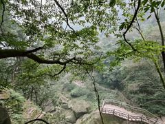 -碧峰峡风景区